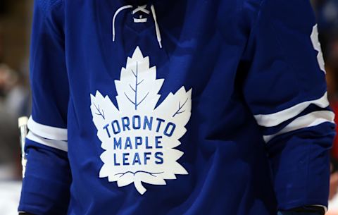 Toronto Maple Leafs (Photo by Vaughn Ridley/Getty Images)