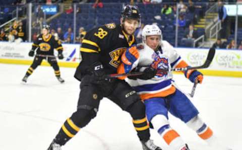 BRIDGEPORT, CT – OCTOBER 19: Tanner Fritz #11 of the Bridgeport Sound Tigers and Jakub Zboril #38 of the Providence Bruins battle for a puck during a game at Webster Bank Arena on October 19, 2018 in Bridgeport, Connecticut. (Photo by Gregory Vasil/Getty Images)