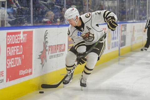 BRIDGEPORT, CT – JANUARY 21: Tyler Lewington #2 of the Hershey Bears plays a puck along the boards during a game against the Bridgeport Sound Tigers at Webster Bank Arena on January 21, 2019 in Bridgeport, Connecticut. (Photo by Gregory Vasil/Getty Images)