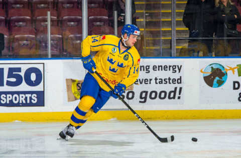 KELOWNA, BC – DECEMBER 18: Hugo Leufvenius #14 of Team Sweden warms up with the puck against the Team Russia at Prospera Place on December 18, 2018 in Kelowna, Canada. (Photo by Marissa Baecker/Getty Images)