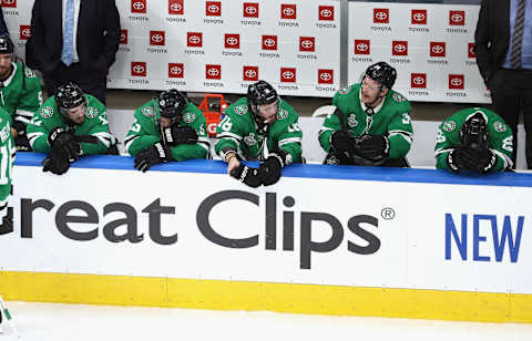 The Dallas Stars. (Photo by Bruce Bennett/Getty Images)