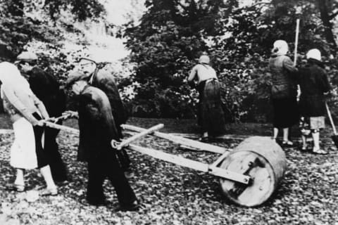 Jewish civilians repair road damage in March 1941. The fake epidemic saved thousands of ethnic Poles from such forced labor.