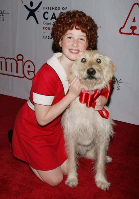 Sandy the dog in 'Annie'