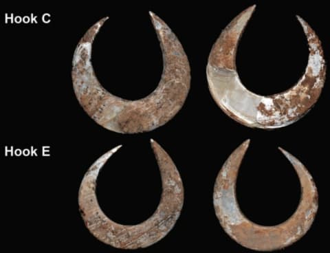 Circular rotating fish hooks found with the burial