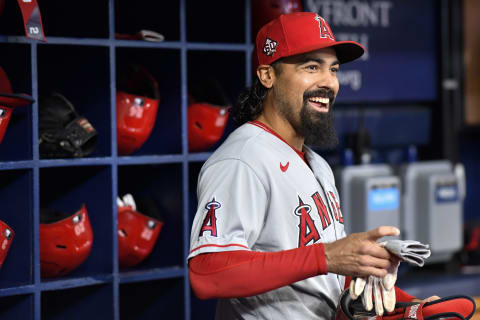 How Angels infielder Anthony Rendon could impact the SF Giants contract talks with Kris Bryant. (Photo by Douglas P. DeFelice/Getty Images)