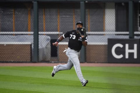 The SF Giants promoted recently acquired outfielder Luis Alexander Basabe. (Photo by Quinn Harris/Getty Images)