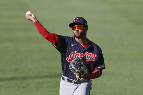 Aaron Bracho #83 of the Cleveland Indians (Photo by Ron Schwane/Getty Images)