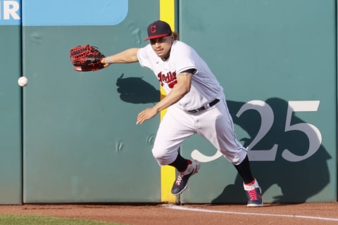 Josh Naylor #22 of the Cleveland Indians (Photo by Ron Schwane/Getty Images)