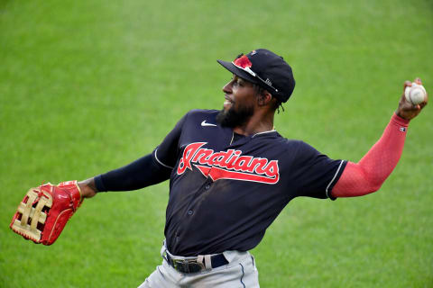 Daniel Johnson #71 of the Cleveland Indians (Photo by Jason Miller/Getty Images)