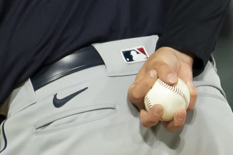 Cleveland Indians (Photo by Ron Vesely/Getty Images)