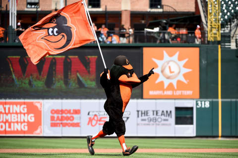 BALTIMORE, MD – JULY 13: The Oriole Bird celebrates after the Baltimore Orioles defeated the Tampa Bay Rays during game one of a doubleheader at Oriole Park at Camden Yards on July 13, 2019 in Baltimore, Maryland. (Photo by Will Newton/Getty Images)