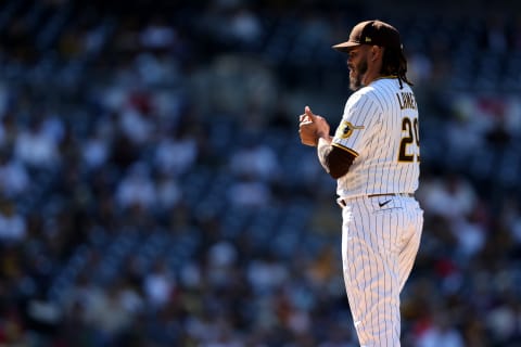 Dinelson Lamet #29 of the San Diego Padres. (Photo by Sean M. Haffey/Getty Images)