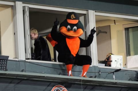 BALTIMORE, MD – MAY 23: The Baltimore Orioles mascot sits out on the ledge of the pressbox during the sixth inning of the game against the Minnesota Twins at Oriole Park at Camden Yards on May 23, 2017 in Baltimore, Maryland. (Photo by Greg Fiume/Getty Images)