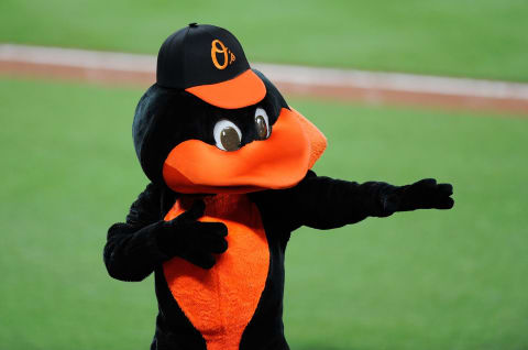 BALTIMORE, MD – JUNE 16: The Baltimore Orioles mascot performs during the seventh inning of the game against the St. Louis Cardinals at Oriole Park at Camden Yards on June 16, 2017 in Baltimore, Maryland. (Photo by Greg Fiume/Getty Images)