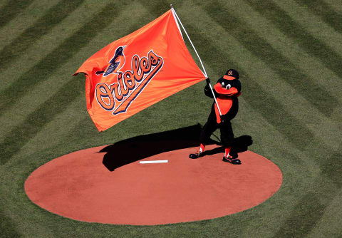 BALTIMORE, MD – MARCH 31: The Oriole Bird mascot waves a flag on the mound during Opening Day ceremonies before the start of the Baltimore Orioles and Boston Red Sox at Oriole Park at Camden Yards on March 31, 2014 in Baltimore, Maryland. (Photo by Rob Carr/Getty Images)