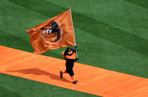 BALTIMORE, MARYLAND - APRIL 11: The Oriole Bird mascot of the Baltimore Orioles is introduced before the Orioles and Milwaukee Brewers game during Opening Day at Oriole Park at Camden Yards on April 11, 2022 in Baltimore, Maryland. (Photo by Rob Carr/Getty Images)