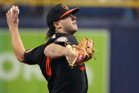 Aug 13, 2022; St. Petersburg, Florida, USA; Baltimore Orioles starting pitcher DL Hall (49) throws a pitch in the first inning against the Tampa Bay Rays at Tropicana Field. Mandatory Credit: Dave Nelson-USA TODAY Sports