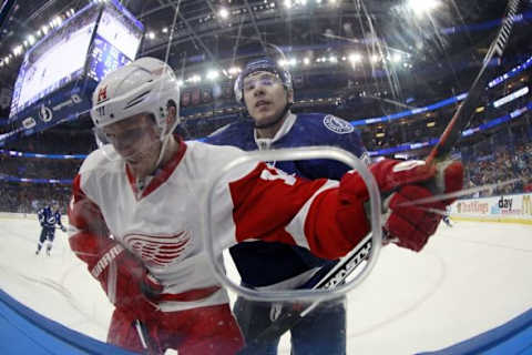 Feb 3, 2016; Tampa, FL, USA; Tampa Bay Lightning defenseman Nikita Nesterov (89) boards Detroit Red Wings center Gustav Nyquist (14) during the third period at Amalie Arena. Tampa Bay defeated Detroit 3-1. Mandatory Credit: Kim Klement-USA TODAY Sports