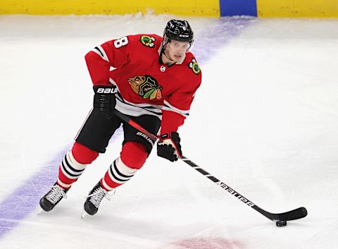 Dominik Kubalik #8, Chicago Blackhawks(Photo by Jonathan Daniel/Getty Images)