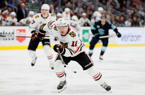 Alex DeBrincat #12, Chicago Blackhawks (Photo by Steph Chambers/Getty Images)