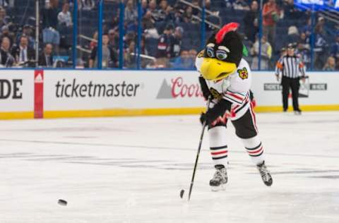 TAMPA, FL – JANUARY 28: Chicago Blackhawks’ mascot Tommy Hawk skates towards goal during the mascot game prior to the NHL All-Star Game on January 28, 2018, at Amalie Arena in Tampa, FL. (Photo by Roy K. Miller/Icon Sportswire via Getty Images)