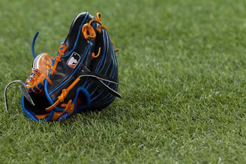 May 5, 2016; Toronto, Ontario, CAN; Baseball glove on turf before an MLB game between the Toronto Blue Jays and Texas Rangers at Rogers Centre. Mandatory Credit: Kevin Sousa-USA TODAY Sports