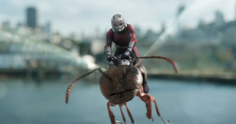 Marvel Studios ANT-MAN AND THE WASP.Ant-Man/Scott Lang (Paul Rudd).Photo: Film Frame..©Marvel Studios 2018