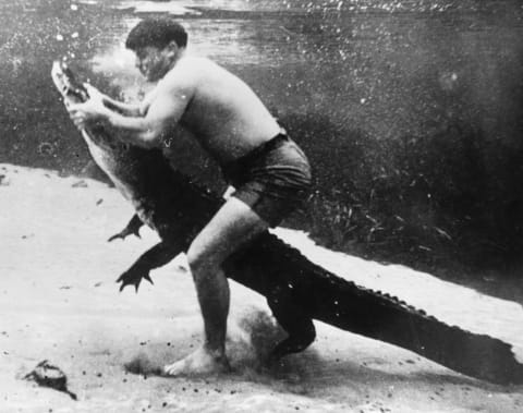 11th October 1938: Ross Allen is famous throughout Florida for his alligator taming skills and bravery. Allen wrestles with an alligator underwater, keeping a tight hold on the beast’s mouth as it easier to keep the dangerous jaws from opening than it is to keep them from closing. (Photo by Fox Photos/Getty Images)