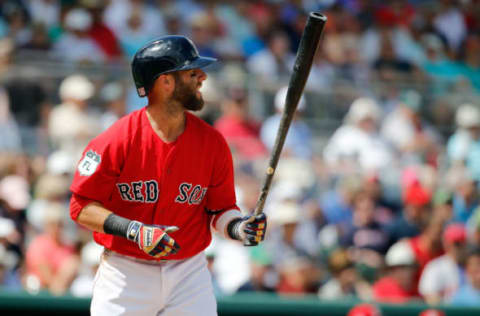 Mar 14, 2017; Fort Myers, FL, USA; Boston Red Sox second baseman Dustin Pedroia (15) at bat against the Toronto Blue Jays at JetBlue Park. Mandatory Credit: Kim Klement-USA TODAY Sports