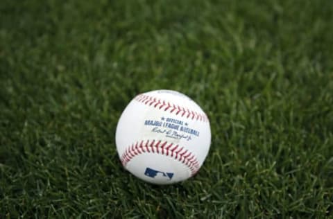 Chicago Cubs (Photo by Joe Robbins/Getty Images)