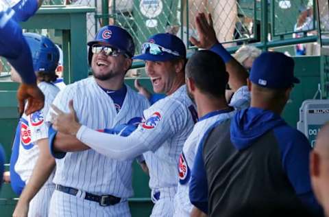 Schwarber and Almora, Chicago Cubs (Photo by Nuccio DiNuzzo/Getty Images)