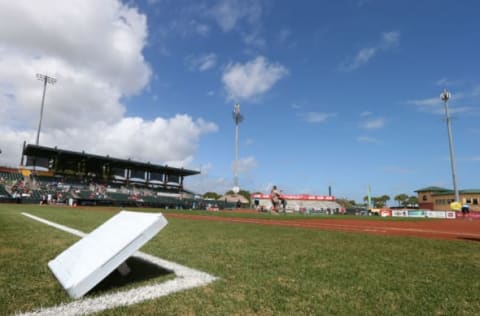 Chicago Cubs (Photo by Rich Schultz/Getty Images)