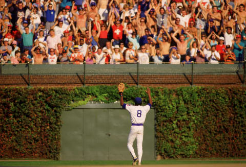 (Photo by Ron Vesely/MLB Photos via Getty Images)