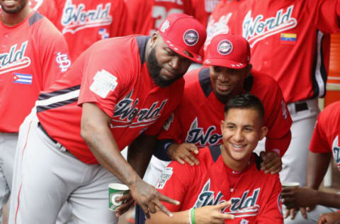 Miguel Amaya (Photo by Rob Carr/Getty Images)