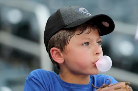 Chicago Cubs (Photo by Elsa/Getty Images)