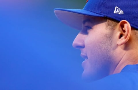 CHICAGO, IL – OCTOBER 18: Anthony Rizzo #44 of the Chicago Cubs looks on before game four of the National League Championship Series against the Los Angeles Dodgers at Wrigley Field on October 18, 2017 in Chicago, Illinois. (Photo by Stacy Revere/Getty Images)