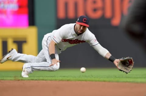 Jason Kipnis, Chicago Cubs (Photo by Jason Miller/Getty Images)