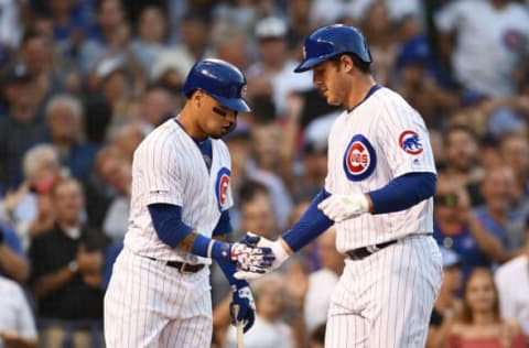 Javier Baez and Anthony Rizzo, Chicago Cubs (Photo by Stacy Revere/Getty Images)