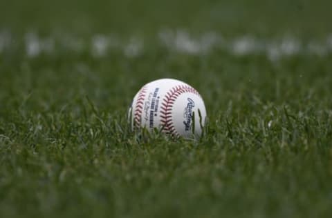 Chicago Cubs (Photo by David Banks/Getty Images)