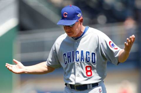 Mike Quade (Photo by Jared Wickerham/Getty Images)