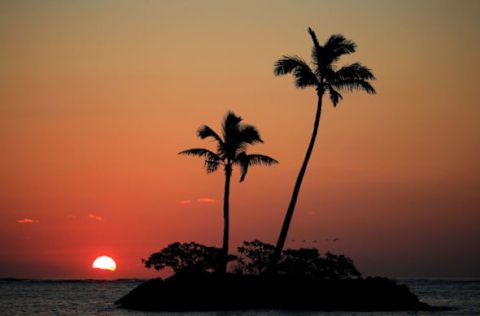 Hawaii, Chicago Cubs (Photo by Cliff Hawkins/Getty Images)