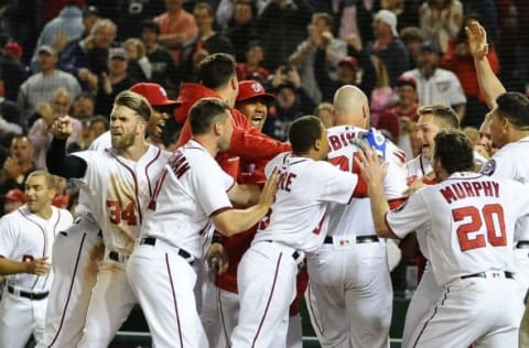 May 9, 2016; Washington, DC, USA; Washington Nationals right fielder Bryce Harper (34) reacts towards home plate umpire Brian Knight (not pictured) as first baseman Clint Robinson (25) is greeted by teammates after hitting walk off homer against the Detroit Tigers during the ninth inning at Nationals Park. Mandatory Credit: Brad Mills-USA TODAY Sports