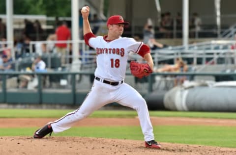 Photo credit: Sam Getty and Harrisburg Senators