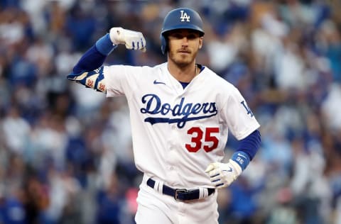 Cody Bellinger #35 of the Los Angeles Dodgers (Photo by Sean M. Haffey/Getty Images)