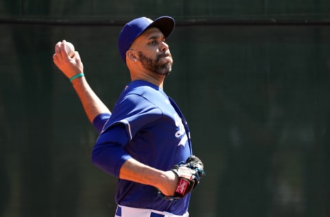 Mar 13, 2022; Glendale, AZ, USA; Los Angeles Dodgers pitcher David Price throws during a spring training workout at Camelback Ranch. Mandatory Credit: Joe Camporeale-USA TODAY Sports