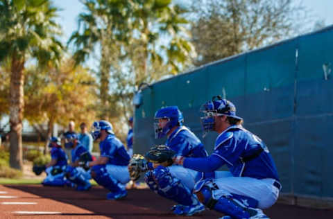 Feb 16, 2017; Glendale, AZ, USA; Los Angeles Dodgers catchers catch a bullpen session during a Spring Training practice at Camelback Ranch. Mandatory Credit: Mark J. Rebilas-USA TODAY Sports