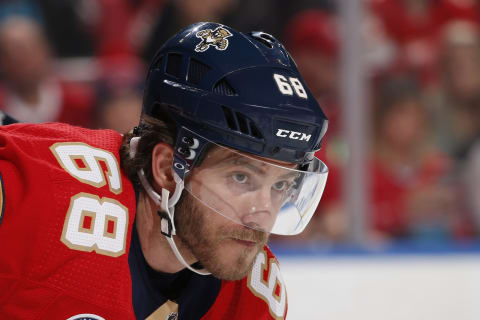 SUNRISE, FL – DECEMBER 28: Mike Hoffman #68 of the Florida Panthers prepares for a face-off against the Montreal Canadiens at the BB&T Center on December 28, 2018 in Sunrise, Florida. Montreal defeated Florida 5-3. (Photo by Joel Auerbach/Getty Images)