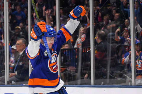 New York Islanders Michael Dal Colle (28) (Mandatory Credit: Dennis Schneidler-USA TODAY Sports)