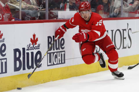 Detroit Red Wings left wing Dmytro Timashov (Mandatory Credit: Raj Mehta-USA TODAY Sports)