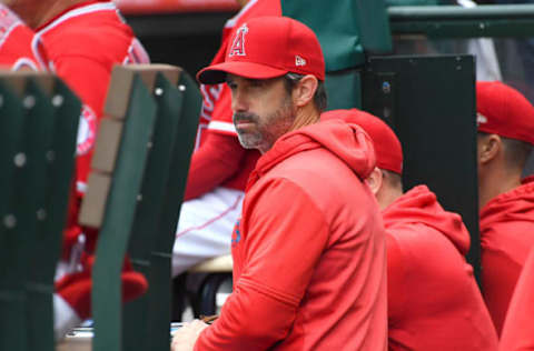 ANAHEIM, CA – MAY 23: Brad Ausmus #12 of the Los Angeles Angels of Anaheim looks on from the dugout during the second inning of the game against the Minnesota Twins at Angel Stadium of Anaheim on May 23, 2019 in Anaheim, California. (Photo by Jayne Kamin-Oncea/Getty Images)